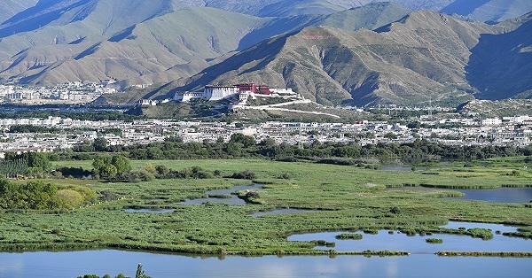 Exploring Lhalu wetland during Summer in Xizang