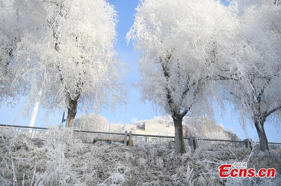 Best time to enjoy rime scenery along Songhuajiang River
