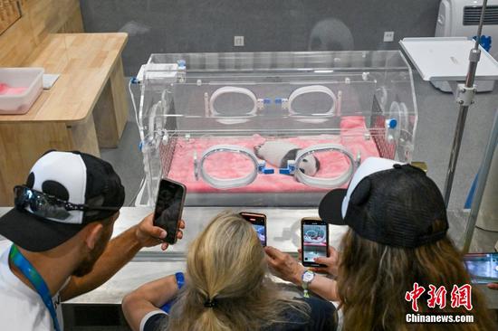 Athletes visit panda research base