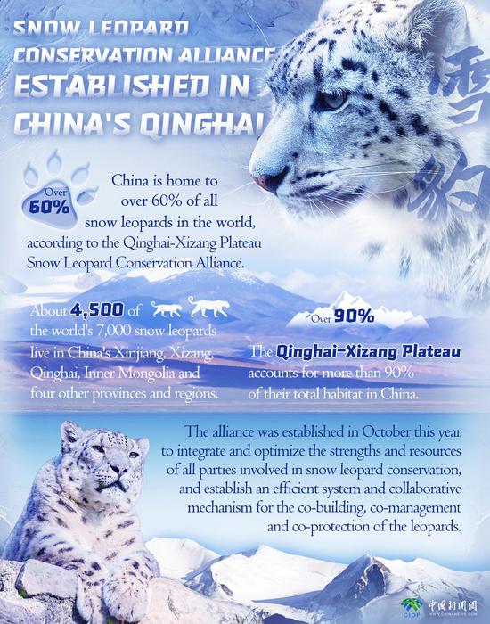In Numbers: Snow Leopard Conservation Alliance established in China's Qinghai 