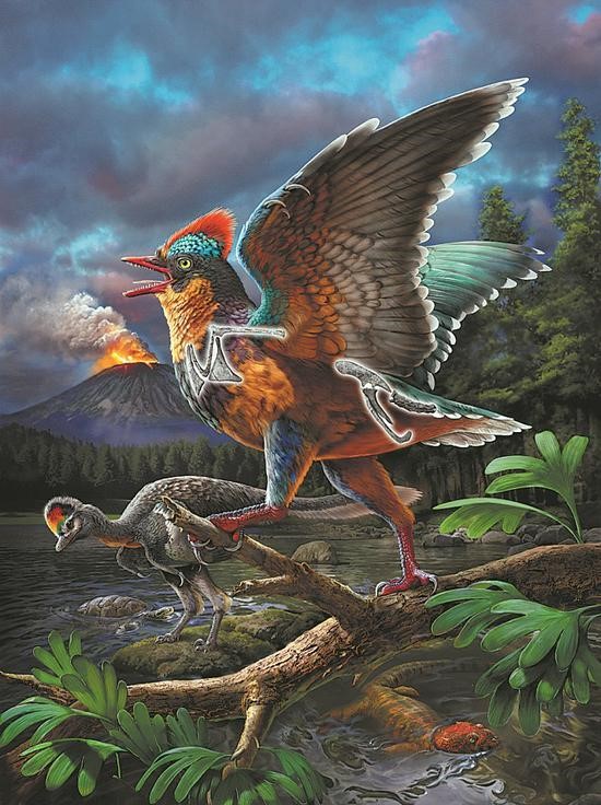 An illustration shows the reconstructed image of the Jurassic bird species named Baminornis zhenghensis. (Photo/China News Service) An illustration shows the reconstructed image of the Jurassic bird species named Baminornis zhenghensis. (Photo/China News Service)