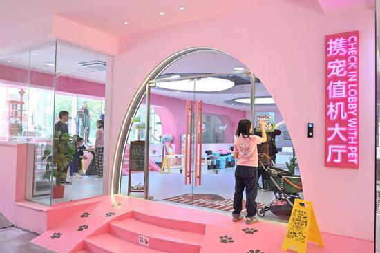 A glimpse of China's first pet airport terminal in Guangzhou