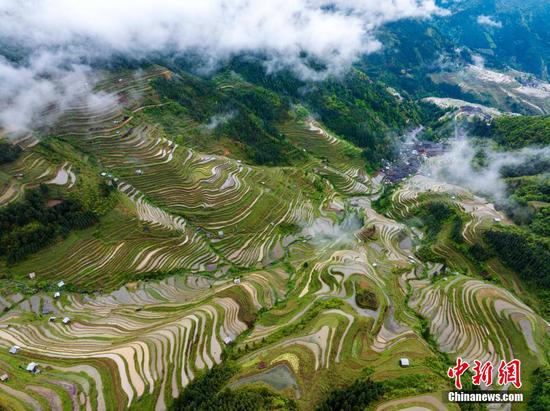 贵州加榜梯田雨后清新如画